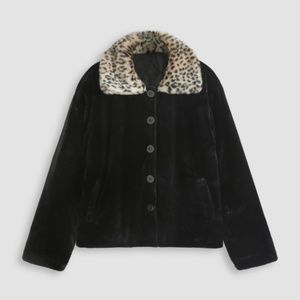 Plush Faux Leopard Collar Jacket